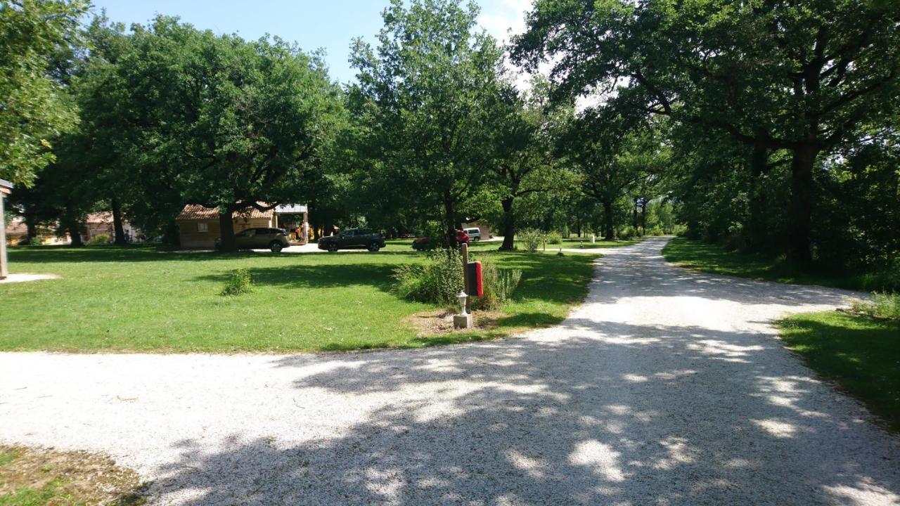 Domaine De Miraval Ξενοδοχείο Belleserre Εξωτερικό φωτογραφία